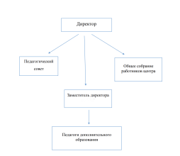 Структура образовательной организации